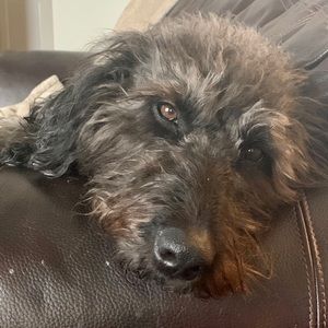 Meet your Posher, Rick